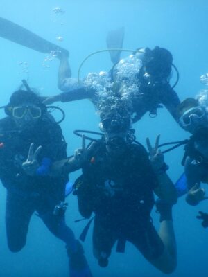 Group of Divers Under the Sea